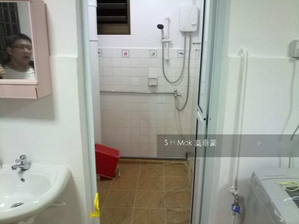 Blk 463 Crawford Lane (Kallang/Whampoa), HDB 3 Rooms #118618932